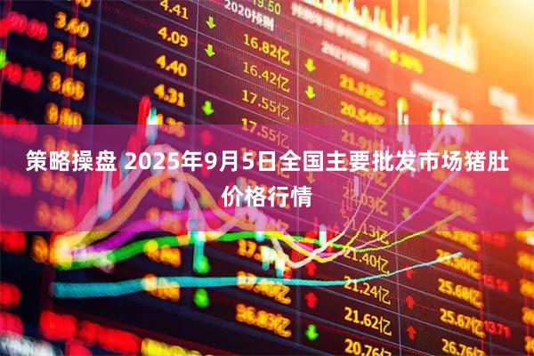 策略操盘 2025年9月5日全国主要批发市场猪肚价格行情