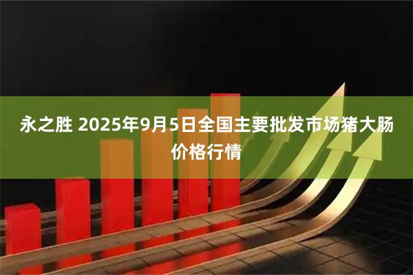 永之胜 2025年9月5日全国主要批发市场猪大肠价格行情