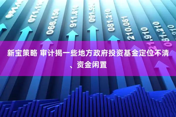 新宝策略 审计揭一些地方政府投资基金定位不清、资金闲置