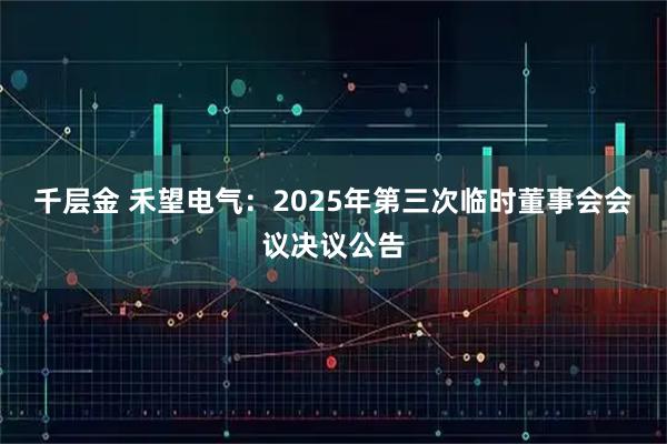 千层金 禾望电气：2025年第三次临时董事会会议决议公告