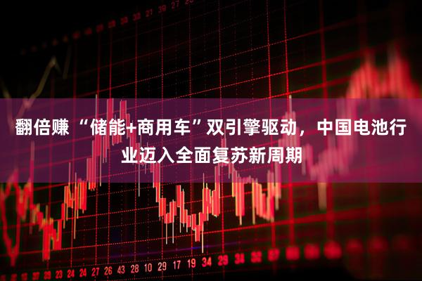翻倍赚 “储能+商用车”双引擎驱动，中国电池行业迈入全面复苏新周期